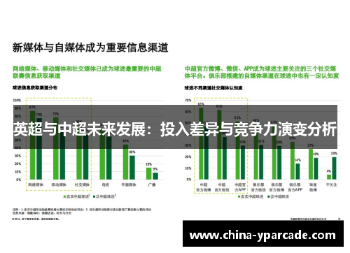 英超与中超未来发展：投入差异与竞争力演变分析