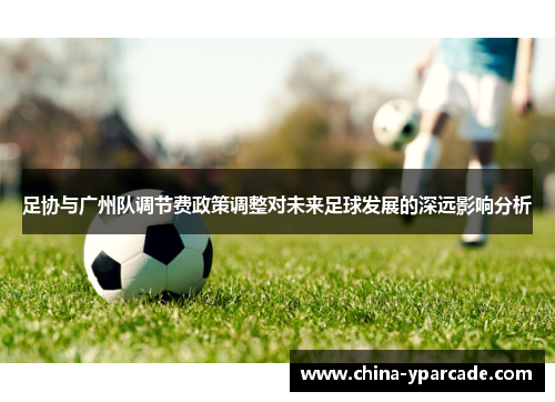 足协与广州队调节费政策调整对未来足球发展的深远影响分析