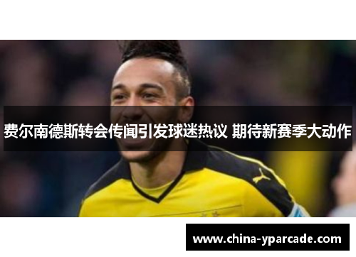 费尔南德斯转会传闻引发球迷热议 期待新赛季大动作