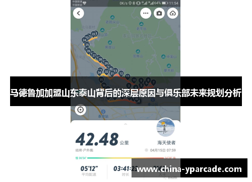 马德鲁加加盟山东泰山背后的深层原因与俱乐部未来规划分析